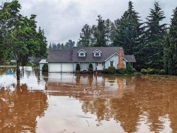 What to Do Immediately After a House Flood: A Homeowner’s Guide | 1st Call Disaster Services