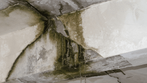 Can Water Damage Cause Structural Damage to Your Home? | 1st Call Disaster Services