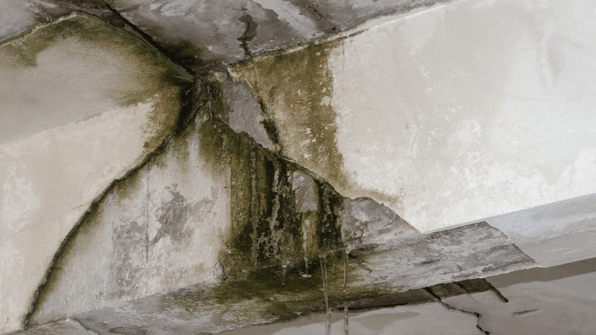 Can Water Damage Cause Structural Damage to Your Home? | 1st Call Disaster Services