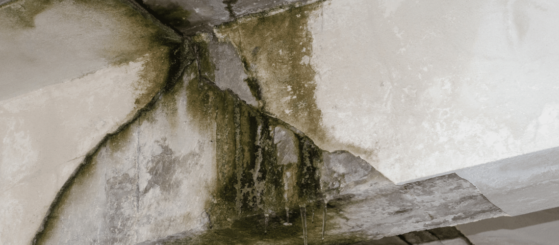 Can Water Damage Cause Structural Damage to Your Home? | 1st Call Disaster Services