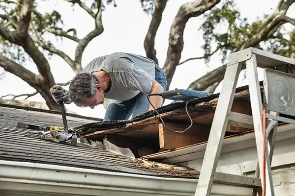 service-roof-damage-repair-assessment