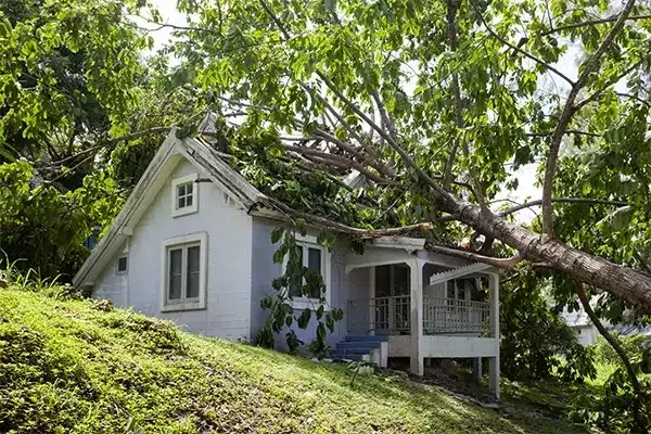 service-storm-damage-restoration-sm